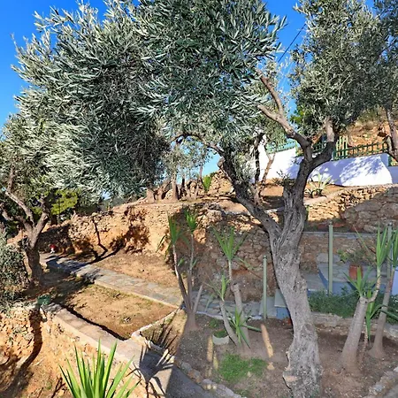 Flora * Skopelos Town